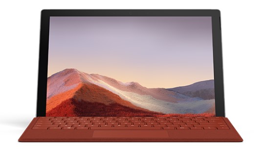 蚌山清洁和维护 Surface